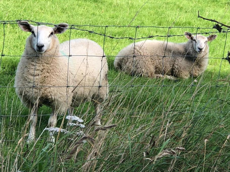 הוילה Wolves Newton Cosy Farmhouse Escape In Monmouthshire מראה חיצוני תמונה