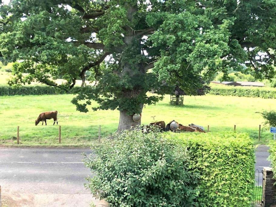 הוילה Wolves Newton Cosy Farmhouse Escape In Monmouthshire מראה חיצוני תמונה