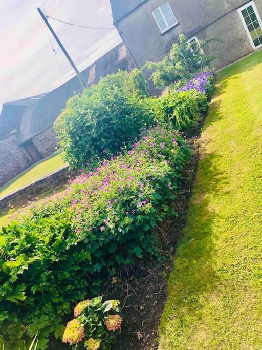 הוילה Wolves Newton Cosy Farmhouse Escape In Monmouthshire מראה חיצוני תמונה